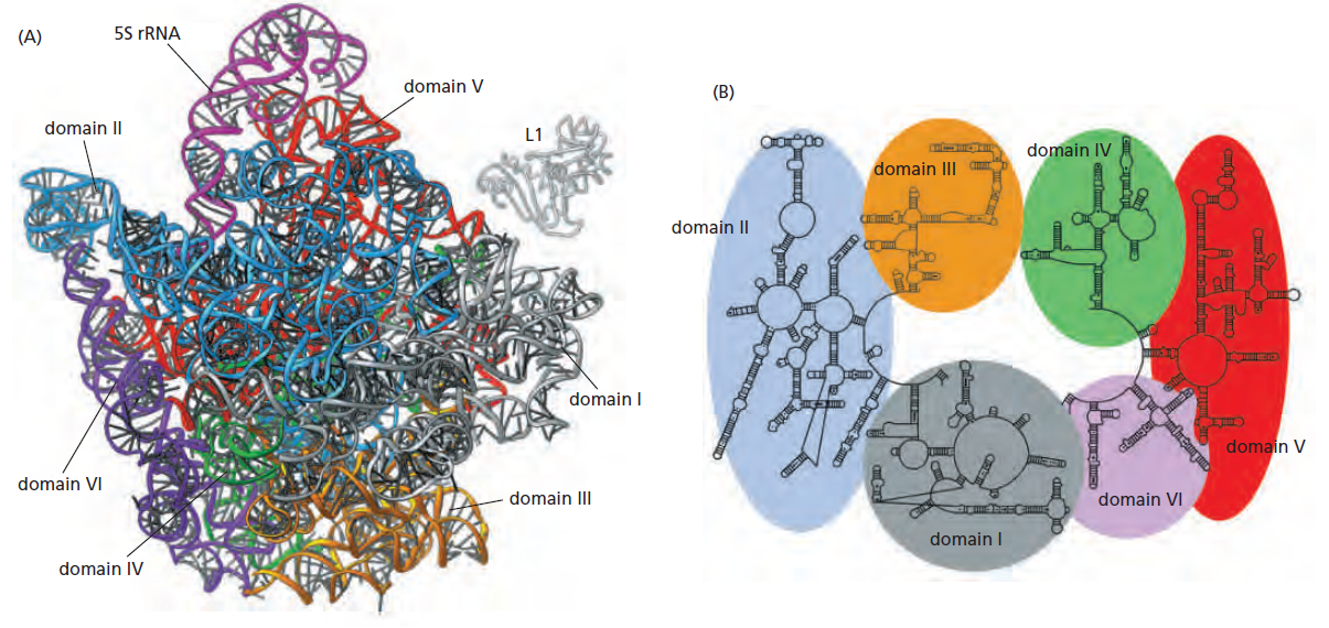 Figure 6-67.png